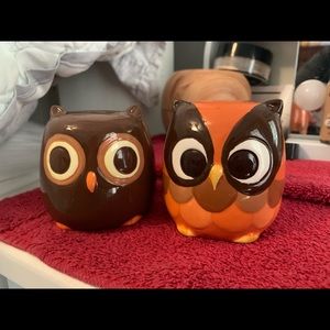 Vintage Owl salt and pepper shakers- Rare